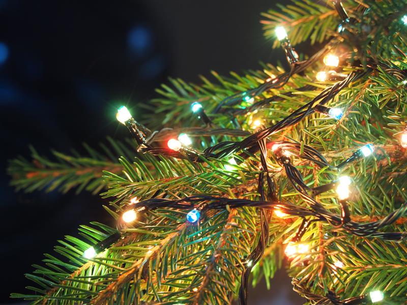 Fresh Cut Premium Grade Fraser Fir Christmas Tree