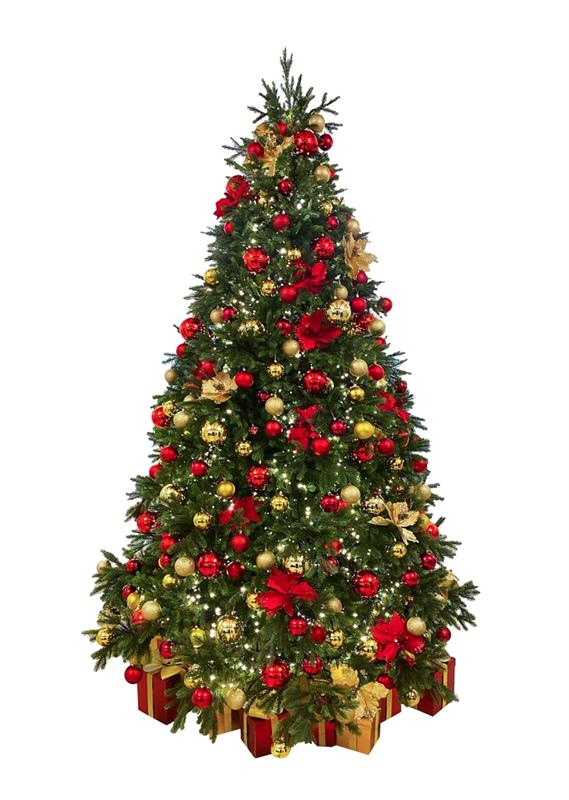 Fresh Cut Premium Grade Fraser Fir Christmas Tree