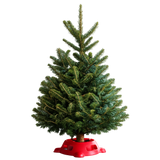 Elf Concierge Bundle (Tree + Setup + Lights + Removal) — free gift, choice of 12” Wreath or 24” Wreath or Tabletop Tree